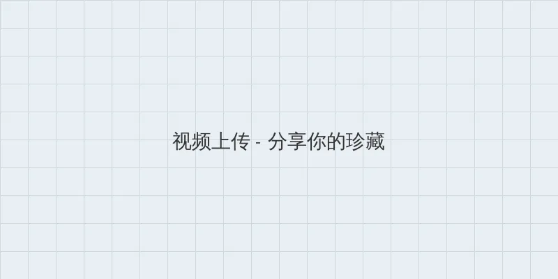 网络世界 视频上传区域